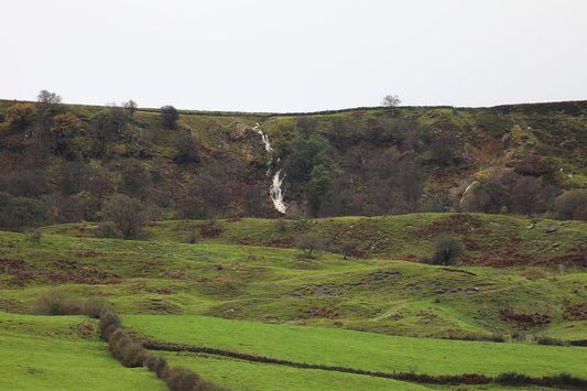 Rosedale's Waterfall