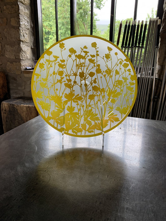 Plant Life - Fen Ditton Gallery