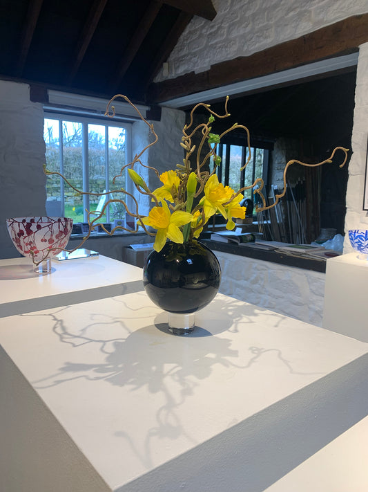 Love Daffodils