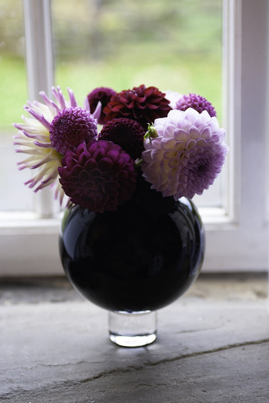 Love Dahlias