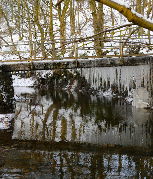 Winter Opening Hours up to March 1st.