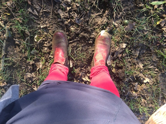 Foraging for Sloe Berries