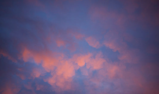 Rose Sky Over Rosedale