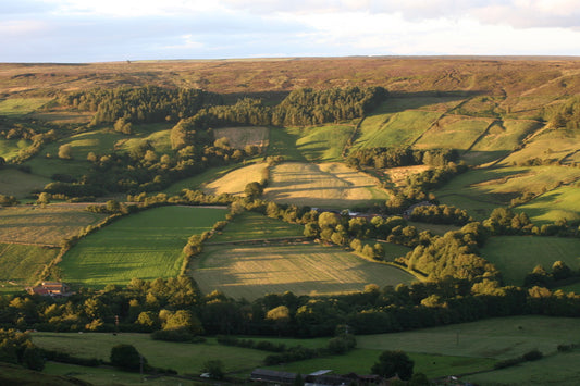 Golden Hour - Chimney Bank