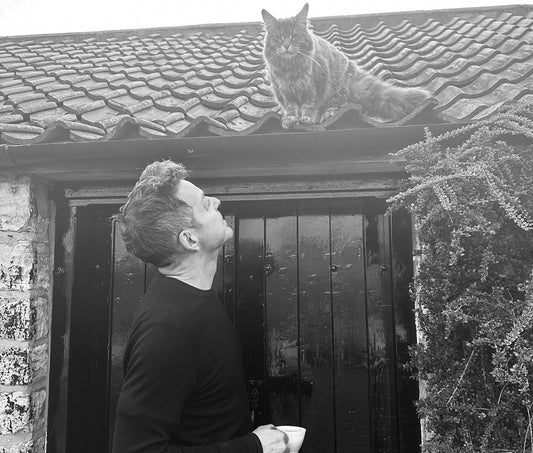 Morning Coffee and Maine Coon Cats