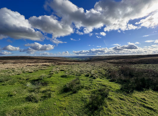 Happy New Year - Temporary Closure to Visitors