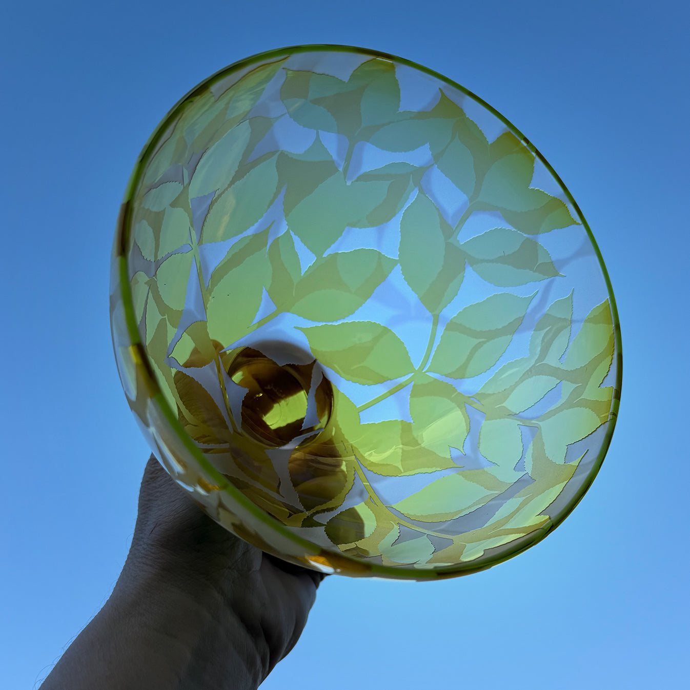 Dancing Leaves - Yellow with Bright Green Rim