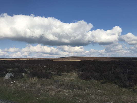 Landscape, light and vast skies - North York Moors