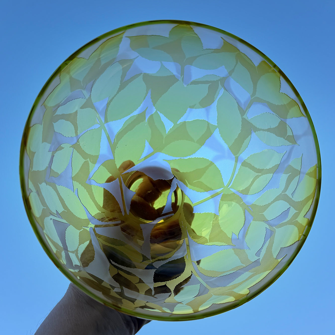Dancing Leaves - Yellow with Bright Green Rim