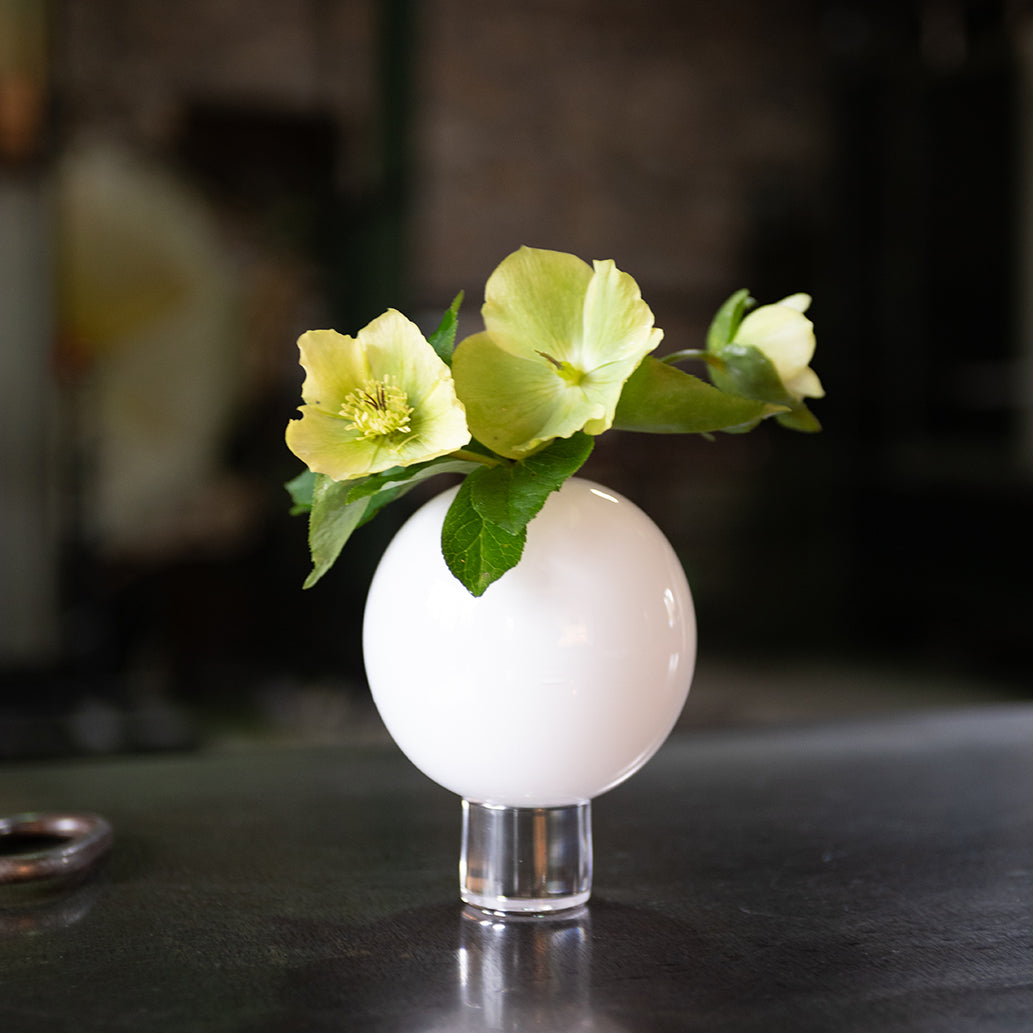 a hand blown white round glass vase with green hellebores