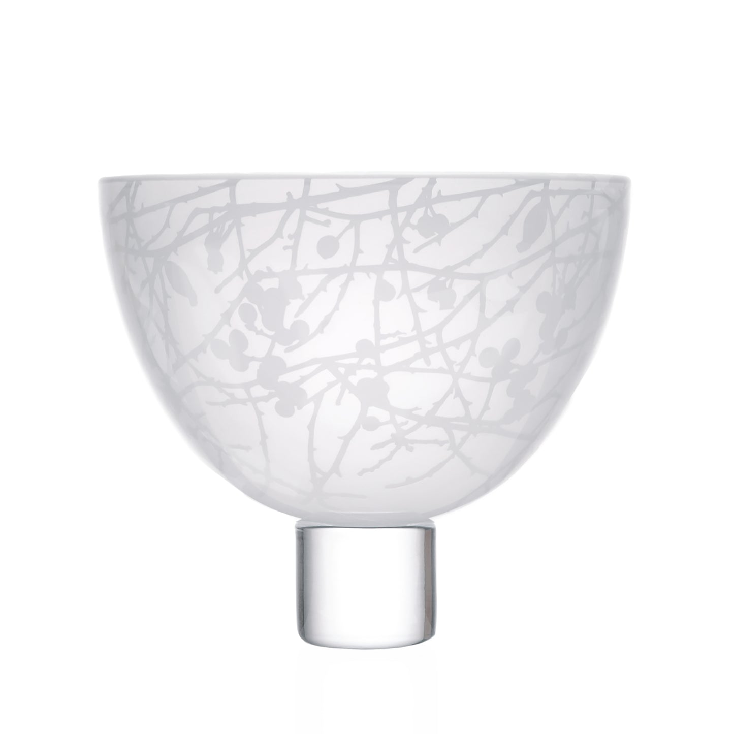 Large Winter Hedgerow