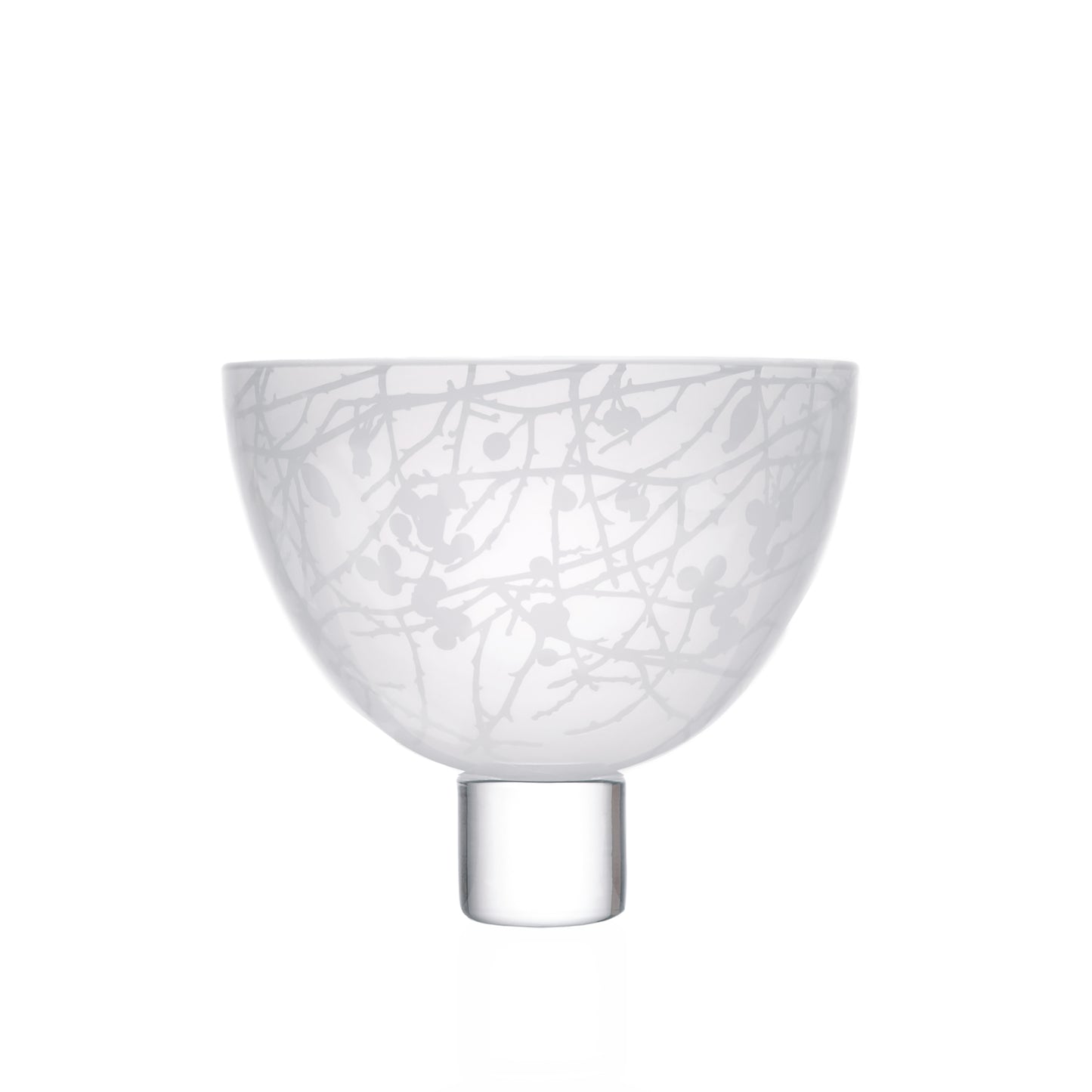 Small Winter Hedgerow