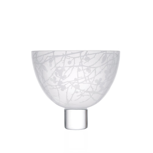 Small Winter Hedgerow