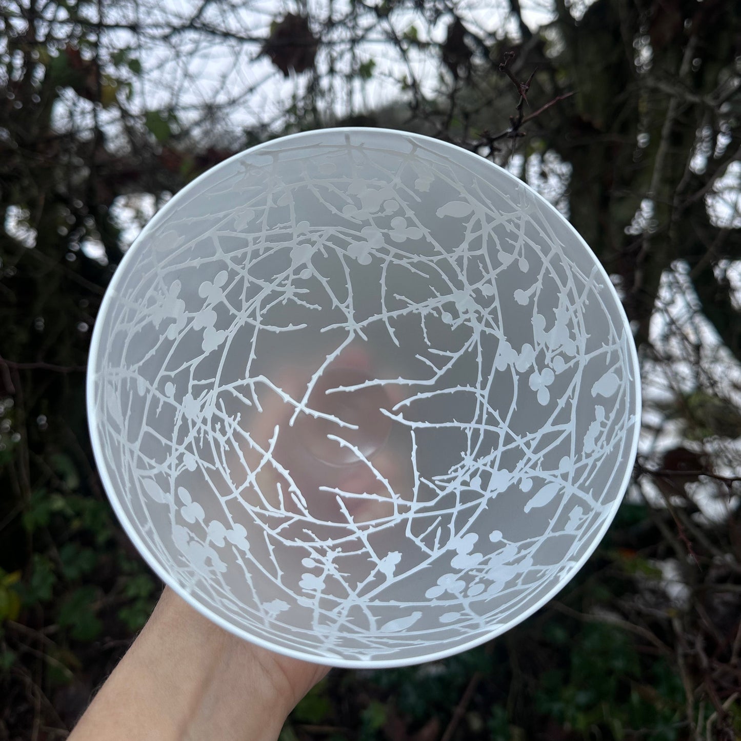 Small Winter Hedgerow